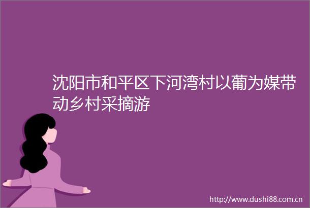 沈阳市和平区下河湾村以葡为媒带动乡村采摘游