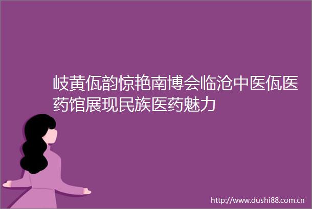 岐黄佤韵惊艳南博会临沧中医佤医药馆展现民族医药魅力