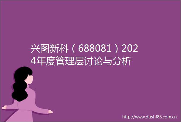 兴图新科（688081）2024年度管理层讨论与分析