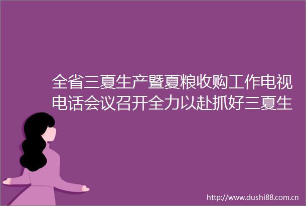 全省三夏生产暨夏粮收购工作电视电话会议召开全力以赴抓好三夏生产确保丰产丰收颗粒归仓周霁主持并讲话