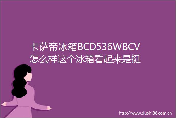 卡萨帝冰箱BCD536WBCV怎么样这个冰箱看起来是挺