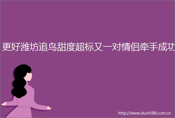 更好潍坊追鸟甜度超标又一对情侣牵手成功