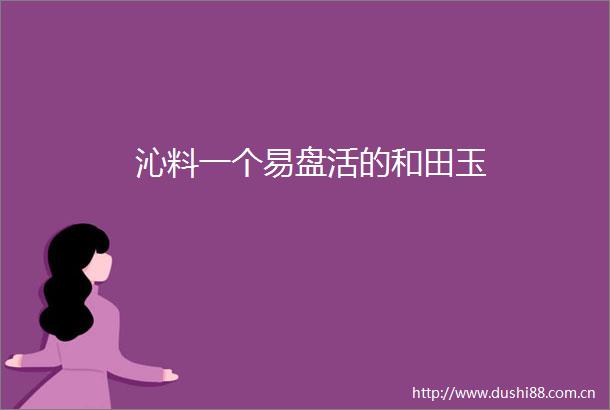 沁料一个易盘活的和田玉
