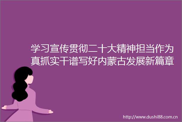 学习宣传贯彻二十大精神担当作为真抓实干谱写好内蒙古发展新篇章