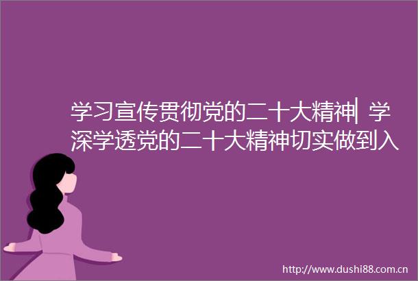 学习宣传贯彻党的二十大精神▏学深学透党的二十大精神切实做到入脑入心