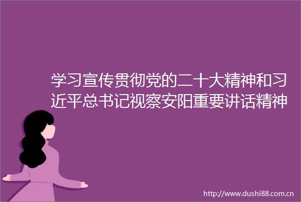 学习宣传贯彻党的二十大精神和总书记视察安阳重要讲话精神心得体会文章摘登