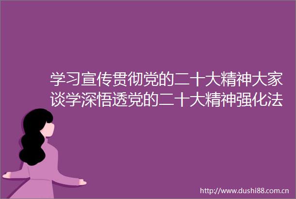 学习宣传贯彻党的二十大精神大家谈学深悟透党的二十大精神强化监督工作更实担起党和赋予的重任
