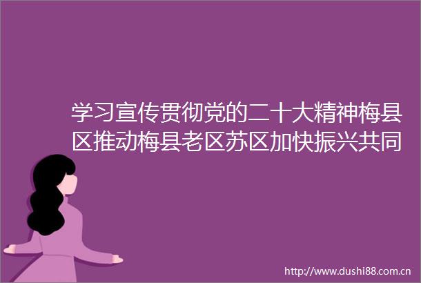 学习宣传贯彻党的二十大精神梅县区推动梅县老区苏区加快振兴共同富裕