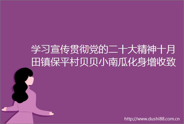 学习宣传贯彻党的二十大精神十月田镇保平村贝贝小南瓜化身增收致富宝贝瓜