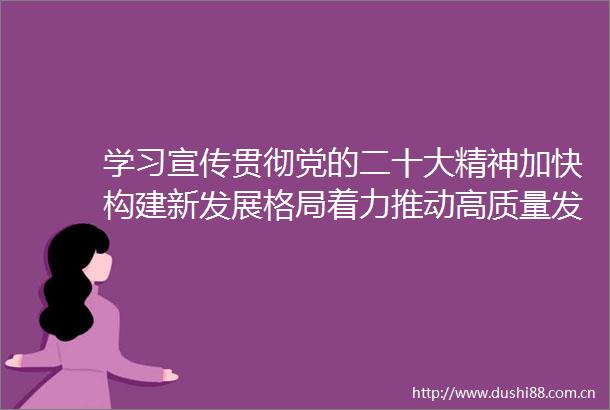 学习宣传贯彻党的二十大精神加快构建新发展格局着力推动高质量发展