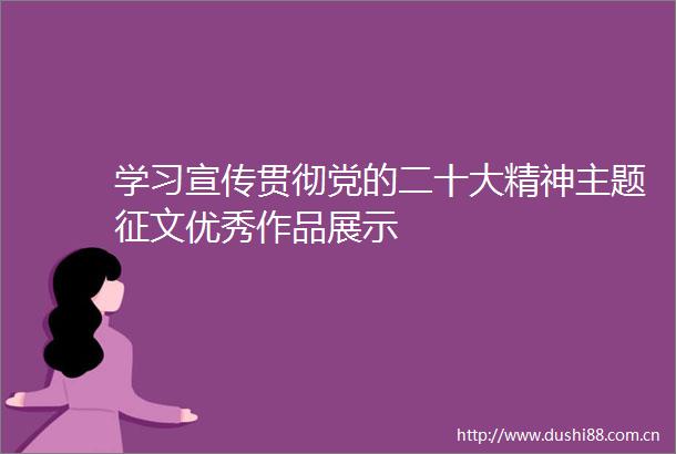 学习宣传贯彻党的二十大精神主题征文优秀作品展示