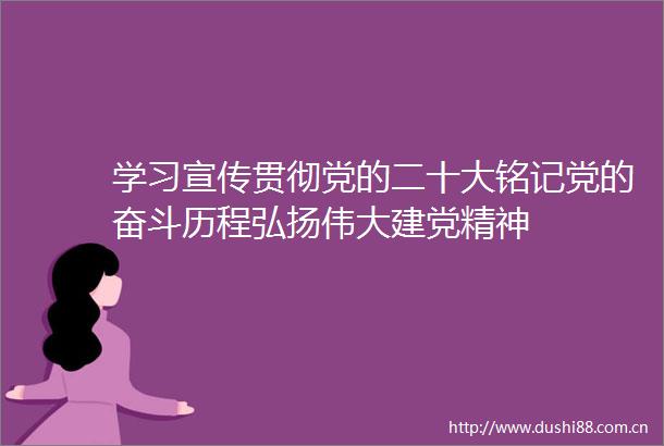 学习宣传贯彻党的二十大铭记党的奋斗历程弘扬伟大建党精神