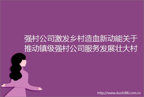 强村公司激发乡村造血新动能关于推动镇级强村公司服务发展壮大村级集体经济的粗浅思考