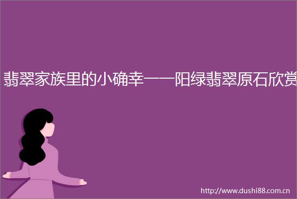 翡翠家族里的小确幸一一阳绿翡翠原石欣赏