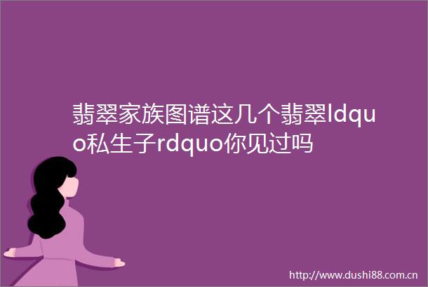 翡翠家族图谱这几个翡翠ldquo私生子rdquo你见过吗