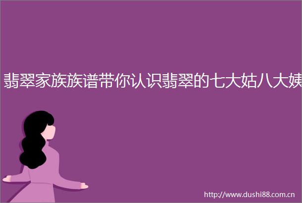 翡翠家族族谱带你认识翡翠的七大姑八大姨