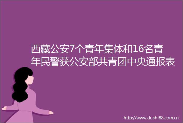 西藏7个青年集体和16名青年获部共青团中央通报表扬