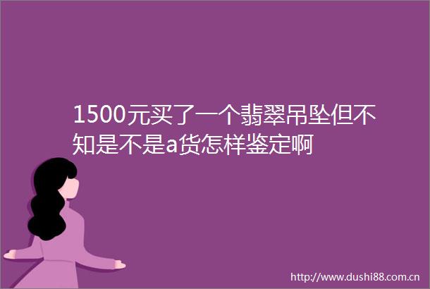 1500元买了一个翡翠吊坠但不知是不是a货怎样鉴定啊