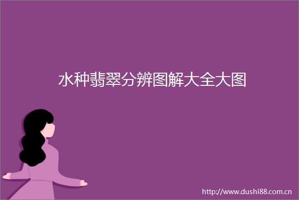 水种翡翠分辨图解大全大图