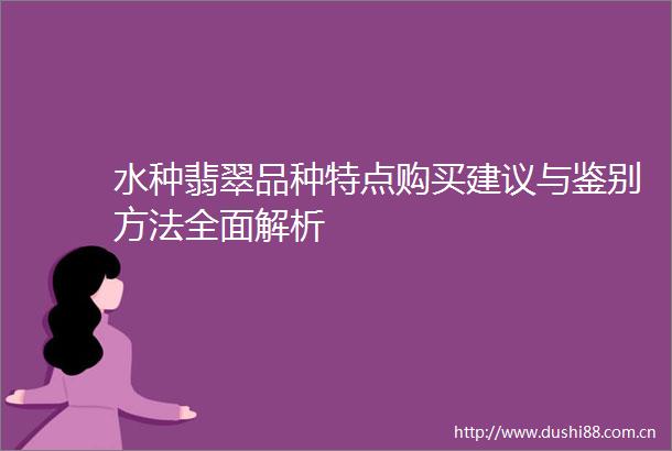 水种翡翠品种特点购买建议与鉴别方法全面解析