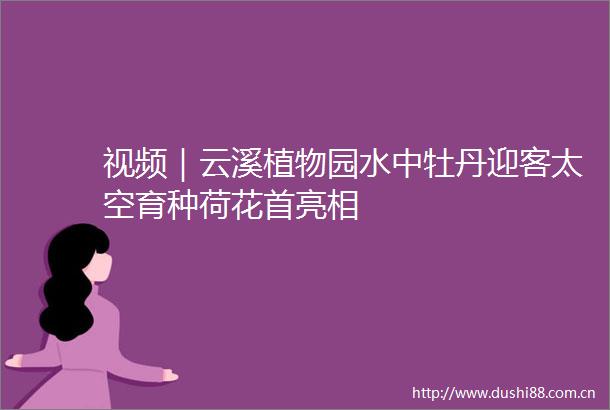 视频｜云溪植物园水中牡丹迎客太空育种荷花首亮相