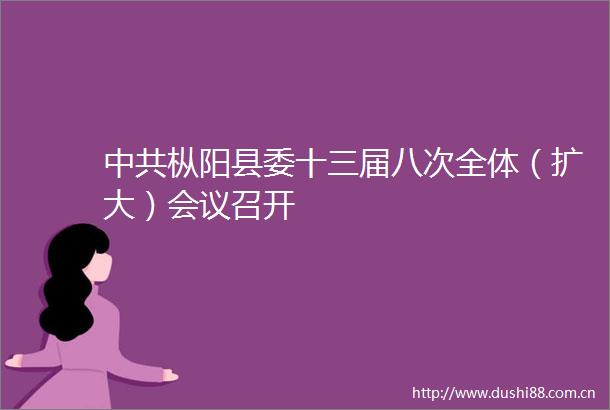枞阳县委十三届八次全体（扩大）会议召开