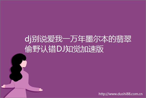 dj别说爱我一万年墨尔本的翡翠偷野认错DJ知觉加速版