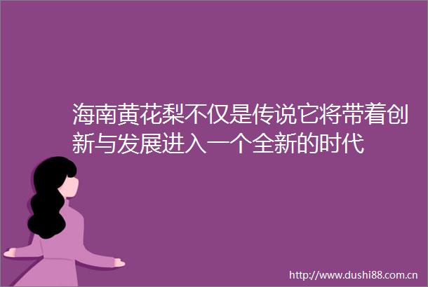 海南黄花梨不仅是传说它将带着创新与发展进入一个全新的时代