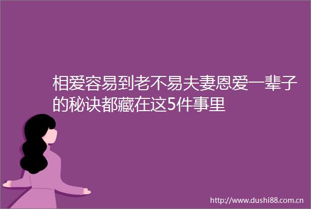 相爱容易到老不易夫妻恩爱一辈子的秘诀都藏在这5件事里