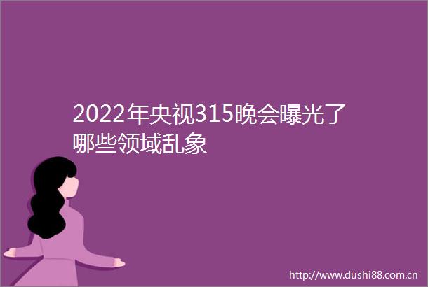 2022年央视315晚会了哪些领域乱象