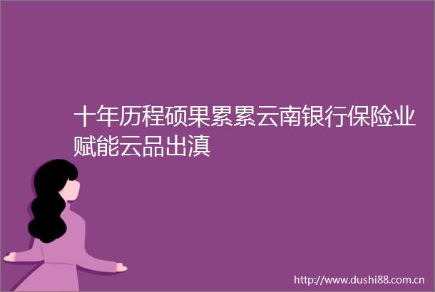 十年历程硕果累累云南银行保险业赋能云品出滇