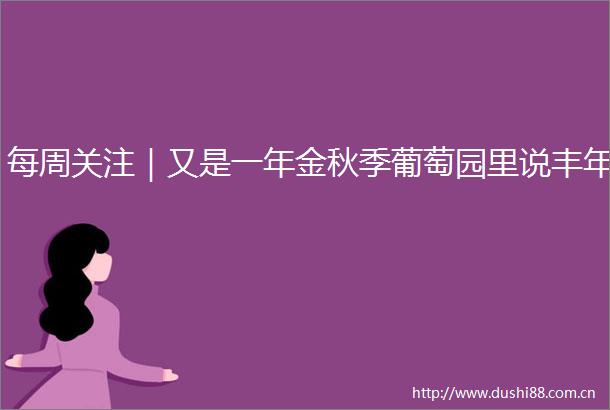每周关注｜又是一年金秋季葡萄园里说丰年