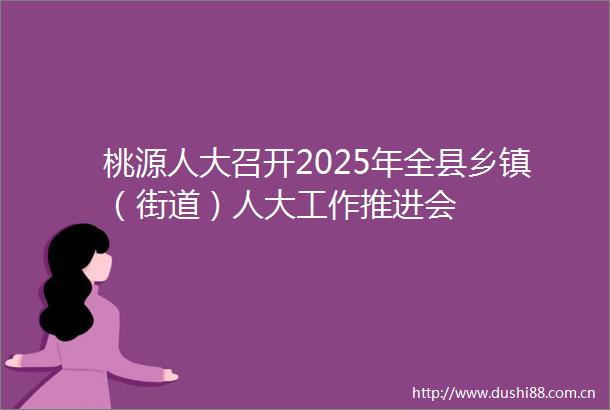 桃源人大召开2025年全县乡镇（街道）人大工作推进会