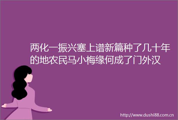 两化一振兴塞上谱新篇种了几十年的地农民马小梅缘何成了门外汉