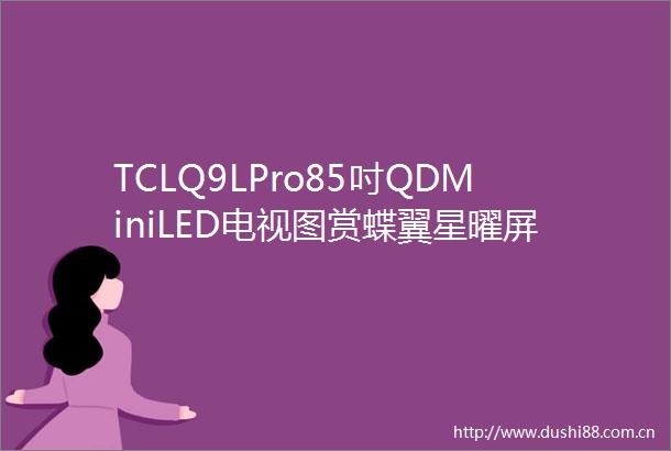 TCLQ9LPro85吋QDMiniLED电视图赏蝶翼星曜屏2448万象分区