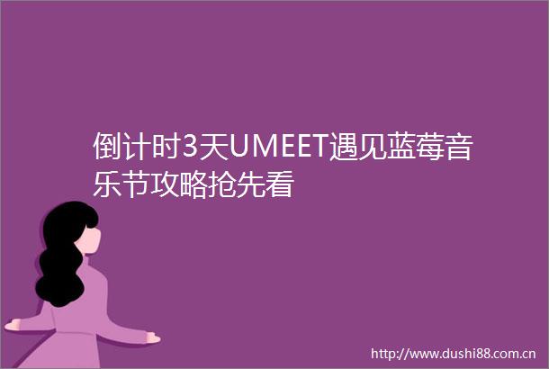 倒计时3天UMEET遇见蓝莓音乐节攻略抢先看