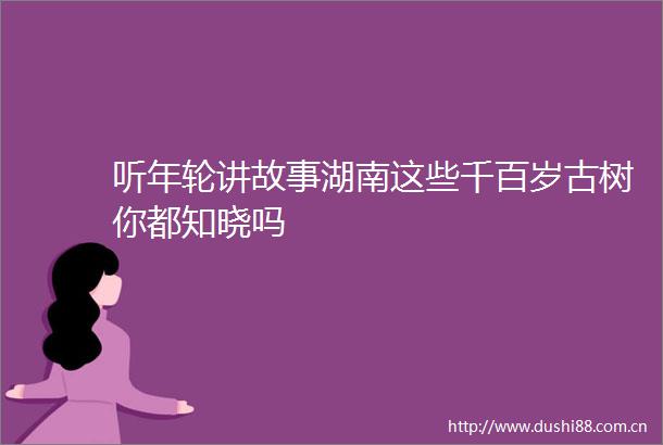 听年轮讲故事湖南这些千百岁古树你都知晓吗