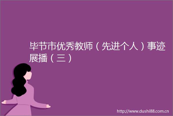 毕节市优秀教师（先进个人）事迹展播（三）