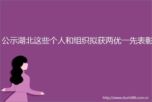 公示湖北这些个人和组织拟获两优一先表彰