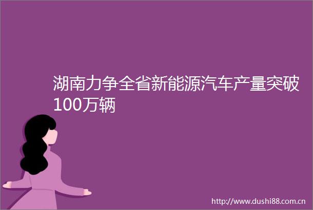 湖南力争全省新能源汽车产量突破100万辆