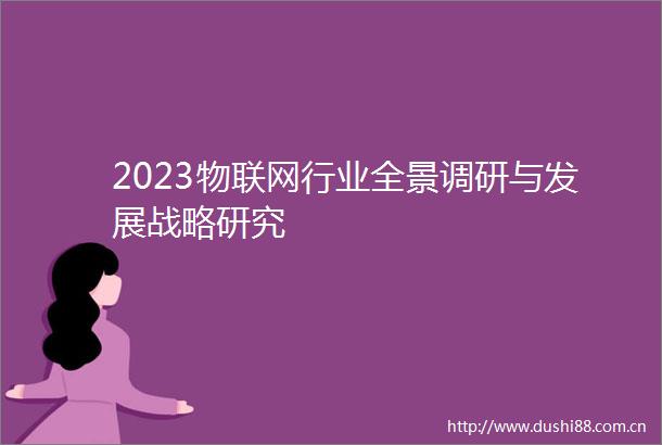 2023物联网行业全景调研与发展战略研究