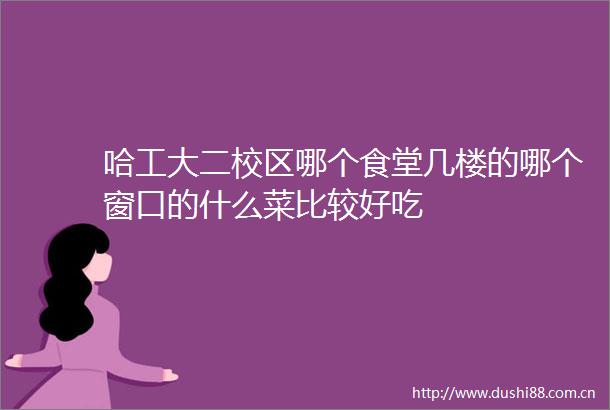 哈工大二校区哪个食堂几楼的哪个窗口的什么菜比较好吃