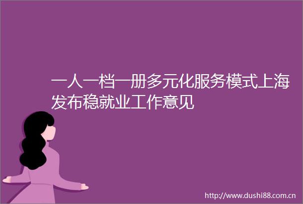 一人一档一册多元化服务模式上海发布稳就业工作意见