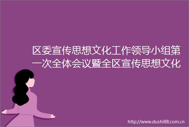 区委宣传思想文化工作小组第一次全体会议暨全区宣传思想文化工作会议召开