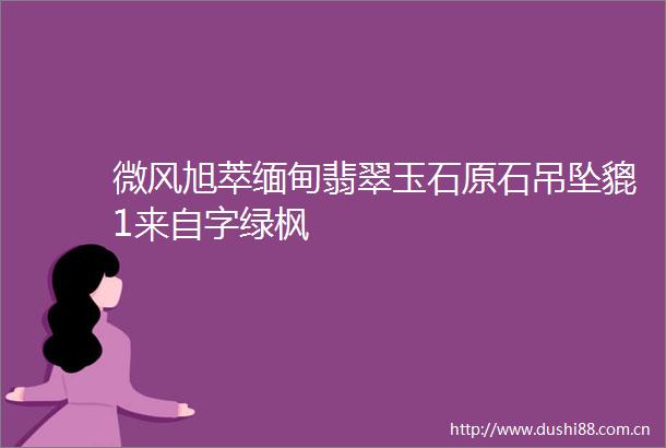 微风旭萃缅甸翡翠玉石原石吊坠貔1来自字绿枫