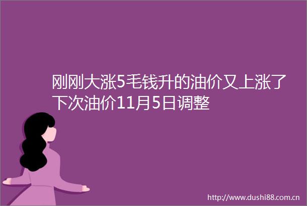 刚刚大涨5毛钱升的油价又上涨了下次油价11月5日调整