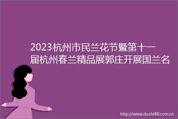 2023杭州市民兰花节暨第十一届杭州春兰精品展郭庄开展国兰名品齐聚郭庄