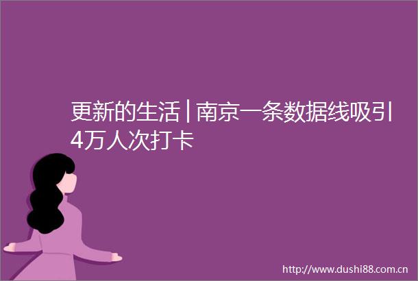 更新的生活│南京一条数据线吸引4万人次打卡