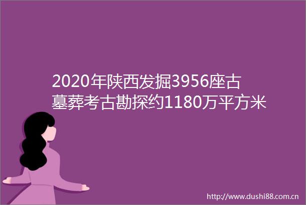 2020年陕西发掘3956座古墓葬考古勘探约1180万平方米
