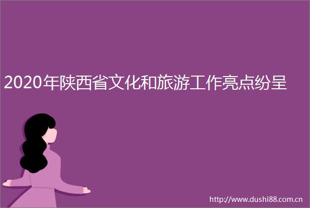 2020年陕西省文化和旅游工作亮点纷呈